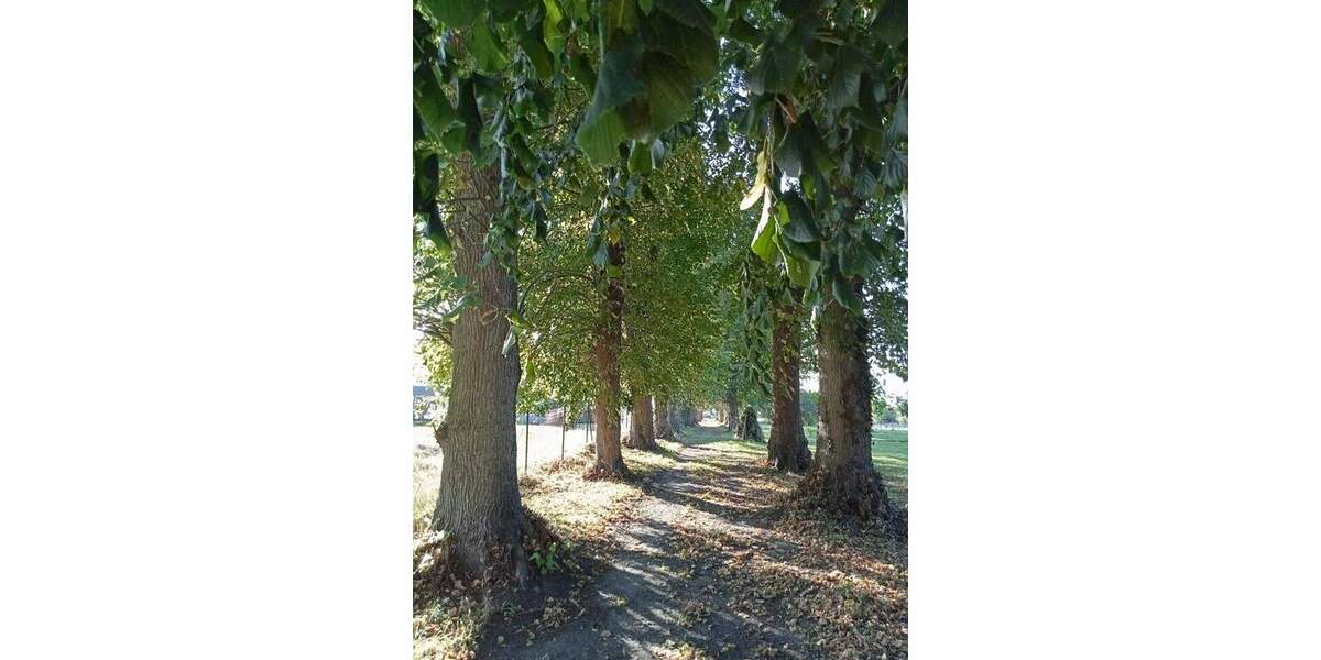 Gewerbeobjekt Ranzin Ranzin - 3 Zimmer, 2.000&euro; | Angebot:25801650