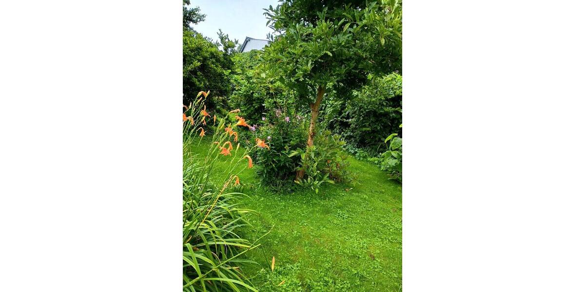 Doppelhaushälfte Grimmen - 5 Zimmer, 115 m&sup2;, 65.000&euro; | Angebot:25231640