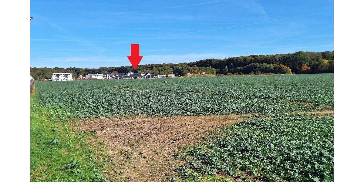 Einfamilienhaus Greifswald Groß Schönwalde - 6 Zimmer, 190 m&sup2;, 699.000&euro; | Angebot:25664109