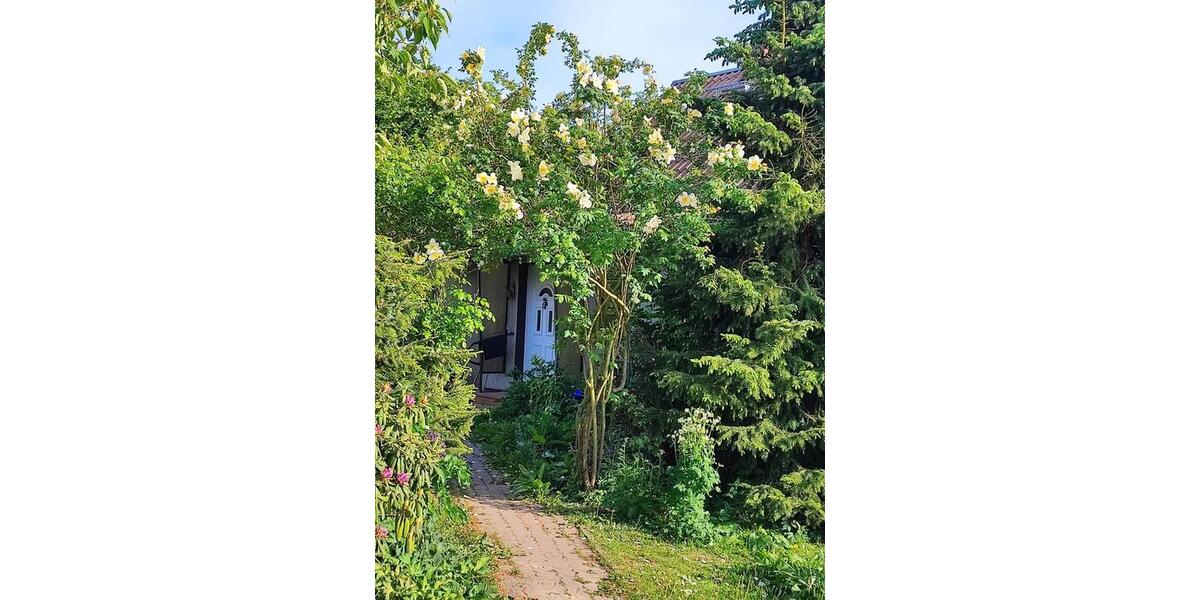 Einfamilienhaus Karlsburg - 6 Zimmer, 100 m&sup2;, 160.000&euro; | Angebot:25364312