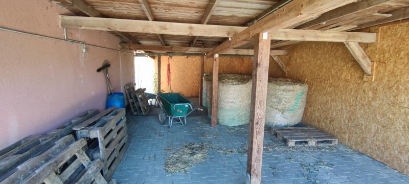 ObjNr:19725 - Hochwertig Saniertes Anwesen für Pferdeliebhaber oder Reitsportfreunde; Feriennutzung möglich - Bauernhaus, Landhaus Loitz | Angebot:21580639