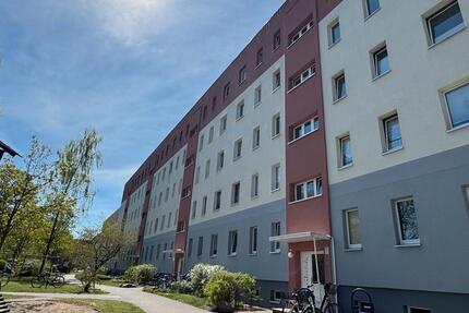 Wohnung Greifswald Groß Schönwalde - 3 Zimmer, 60 m&sup2;, 660&euro; | Angebot:26704740