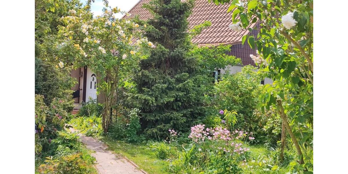 Einfamilienhaus Karlsburg - 6 Zimmer, 90 m&sup2;, 150.000&euro; | Angebot:27243124