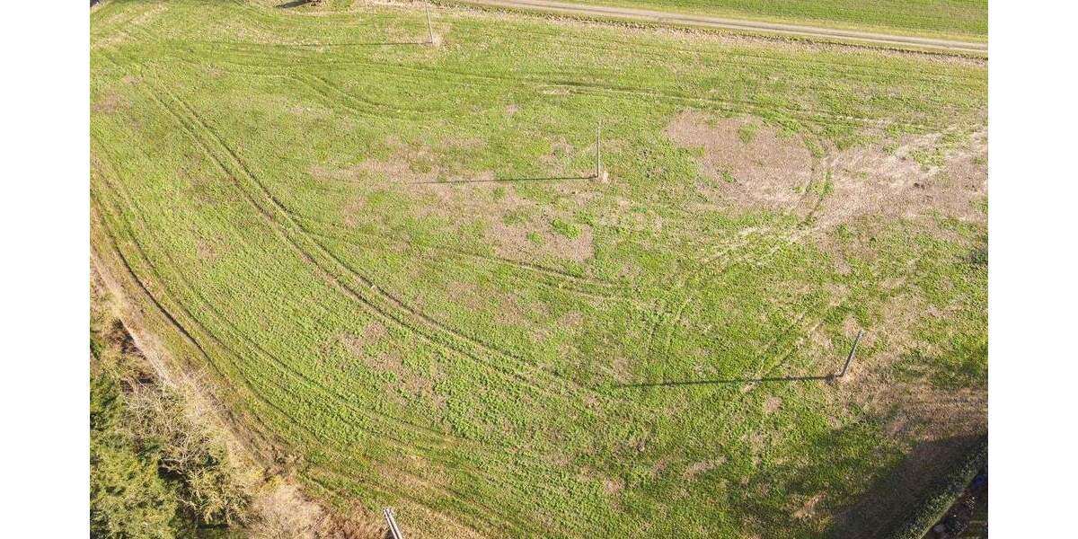 Einfamilienhaus Süderholz Behnkenhagen - 8 Zimmer, 299.000&euro; | Angebot:25838257