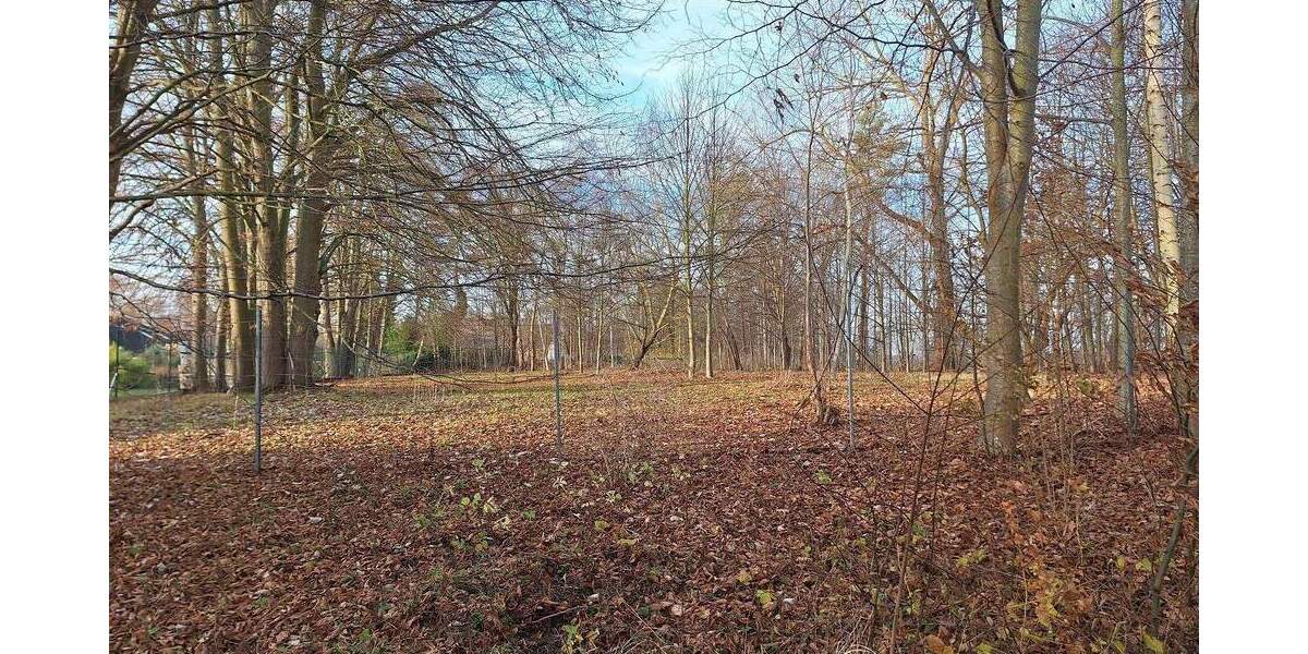 Einfamilienhaus Greifswald Ladebow - 7 Zimmer, 272 m&sup2;, 1.480.000&euro; | Angebot:25727427