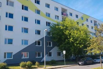 Wohnung Greifswald Groß Schönwalde - 1 Zimmer, 20 m&sup2;, 298&euro; | Angebot:27720831