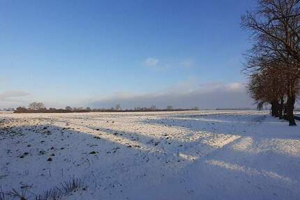 Haus Krien - 4 Zimmer, 100 m&sup2;, 69.000&euro; | Angebot:25705536