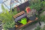 Gewerbeobjekt Greifswald Eldena - 8&euro; | Angebot:26134133