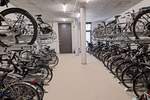 Etagenwohnung Greifswald Nördliche Mühlenvorstadt - 4 Zimmer, 124 m&sup2;, 1.685&euro; | Angebot:26554597
