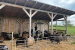 Gewerbeobjekt Greifswald - 1.500&euro; | Angebot:26477574