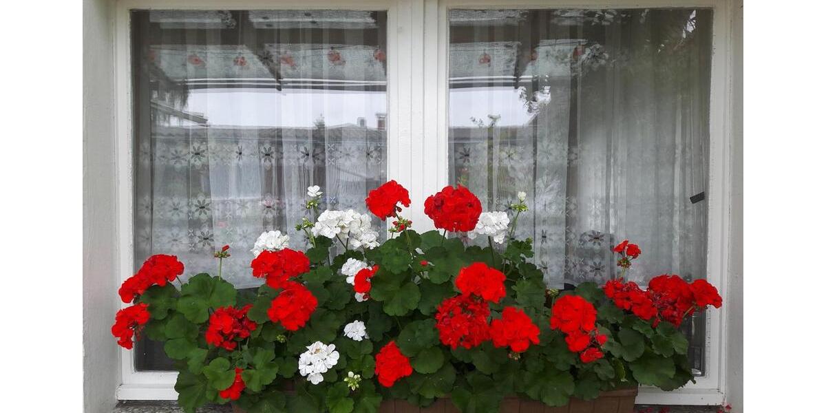 Mehrfamilienhaus, Wohnhaus Loitz - 9 Zimmer, 193 m&sup2;, 179.000&euro; | Angebot:22282721