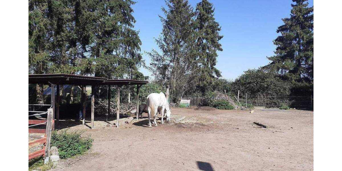 Mehrfamilienhaus, Wohnhaus Krien - 4 Zimmer, 100 m&sup2;, 69.000&euro; | Angebot:25705536