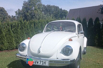 VW Käfer 22.950 km 14.500 &euro; Züssow 17495