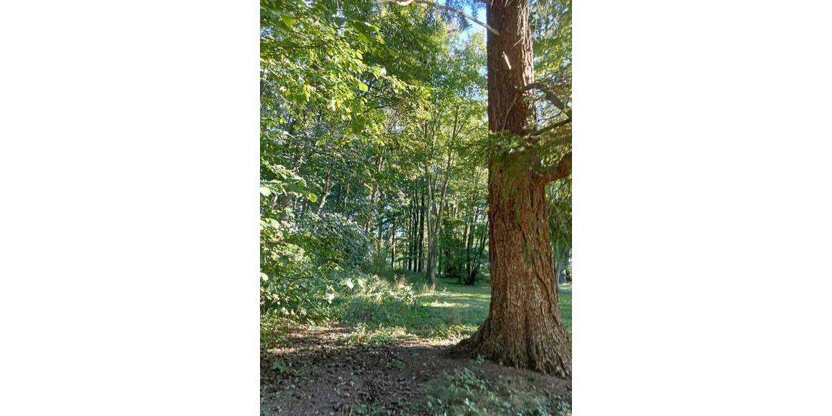 Gewerbeobjekt Ranzin Ranzin - 3 Zimmer, 1.500.000&euro; | Angebot:25700070