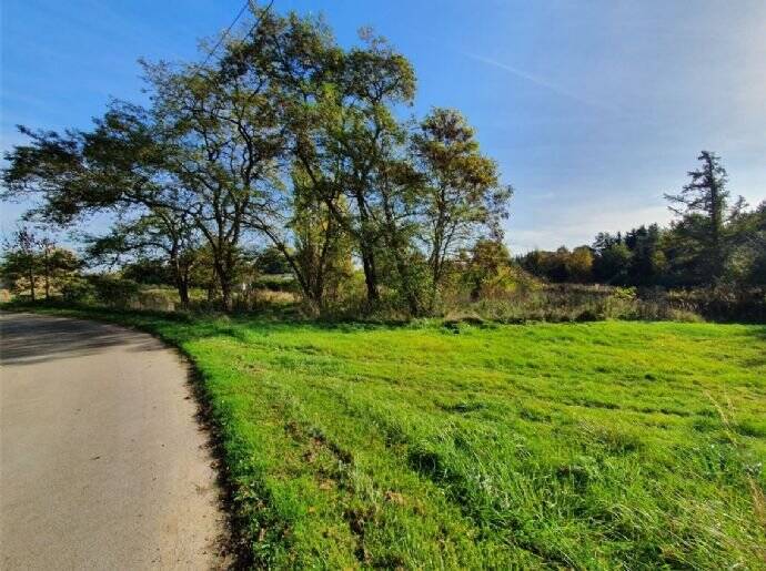 Einfamilienhaus Sundhagen Bremerhagen - 4 Zimmer, 121 m&sup2;, 321.400&euro; | Angebot:25676952