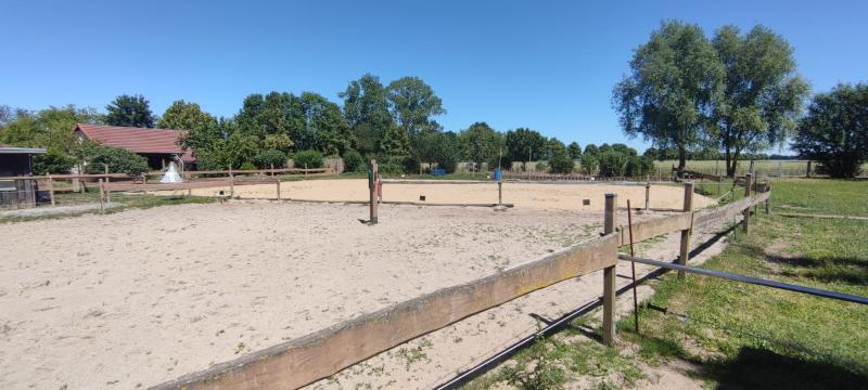 ObjNr:19725 - Hochwertig Saniertes Anwesen für Pferdeliebhaber oder Reitsportfreunde; Feriennutzung möglich - Bauernhaus, Landhaus Loitz | Angebot:21580639