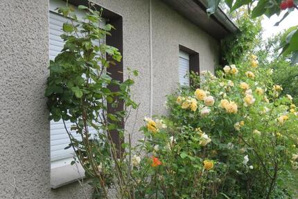 Haus Karlsburg - 6 Zimmer, 100 m&sup2;, 170.000&euro; | Angebot:26049529