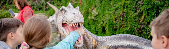 Rügenpark Gingst Dinosaurierland Glowe Rügen Ostsee