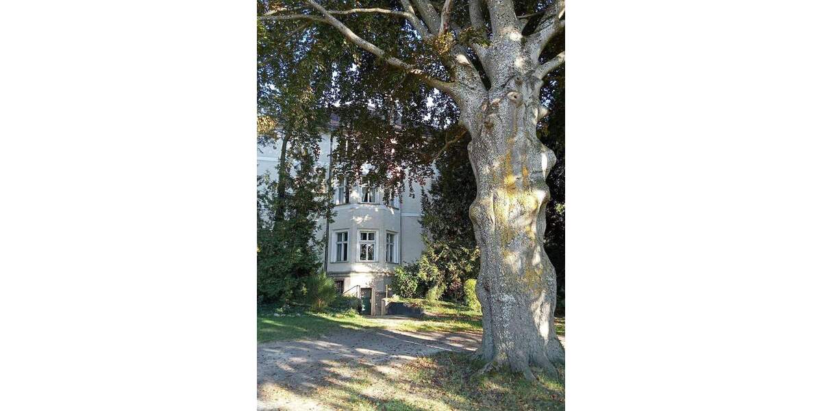 Gewerbeobjekt Ranzin Ranzin - 3 Zimmer, 1.500.000&euro; | Angebot:25700070