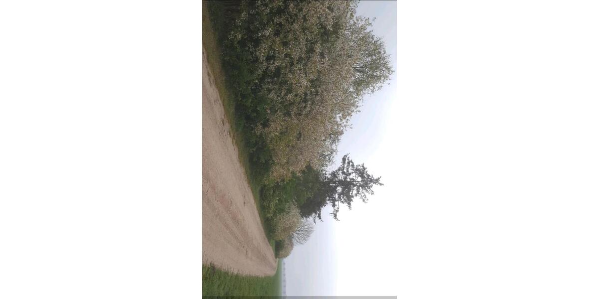 Doppelhaushälfte Neetzow-Liepen Liepen - 9 Zimmer, 210 m&sup2;, 70.000&euro; | Angebot:25905954