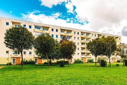 Wohnung Greifswald Groß Schönwalde - 2 Zimmer, 47 m&sup2;, 376&euro; | Angebot:26286178