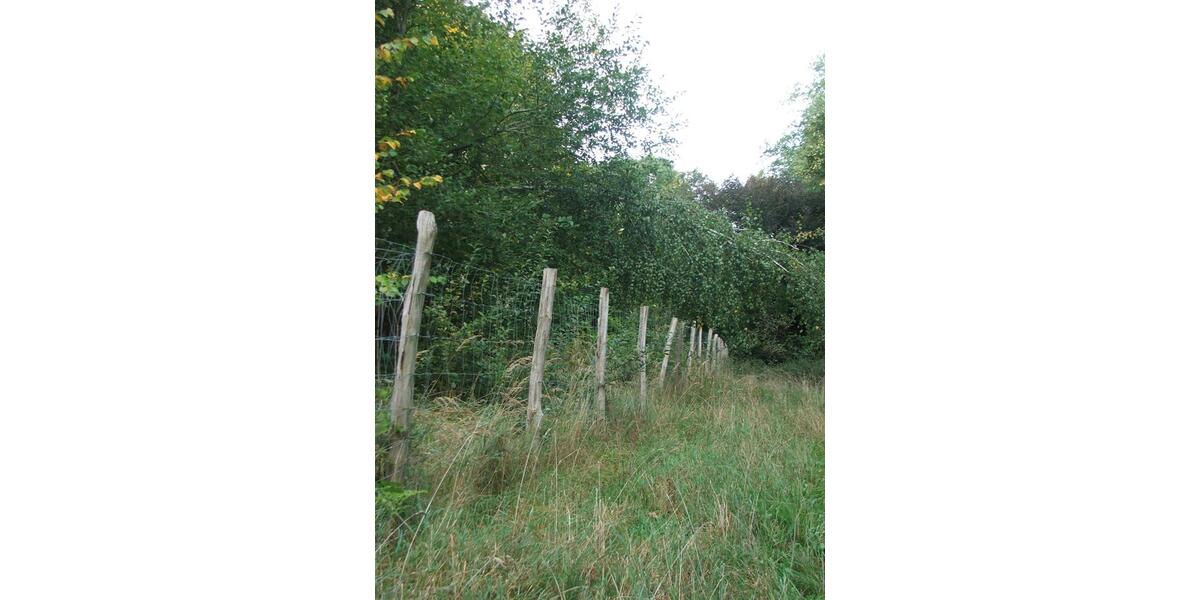 Villa Gützkow - 20 Zimmer, 1.500 m&sup2;, 129.000&euro; | Angebot:25271800