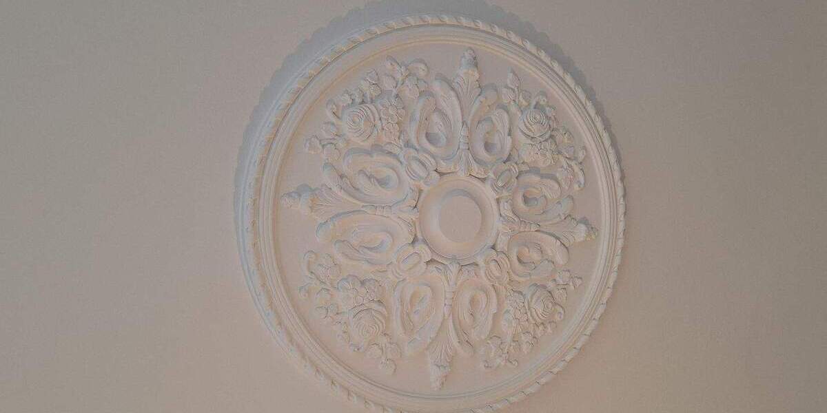 Etagenwohnung Greifswald Fleischervorstadt - 2 Zimmer, 83 m&sup2;, 830&euro; | Angebot:25927023