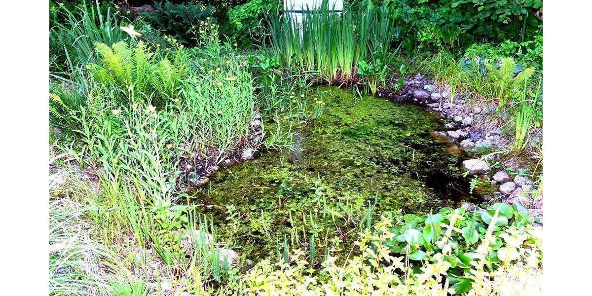 Mehrfamilienhaus, Wohnhaus Gustow - 2 Zimmer, 27 m&sup2;, 99.000&euro; | Angebot:25663899