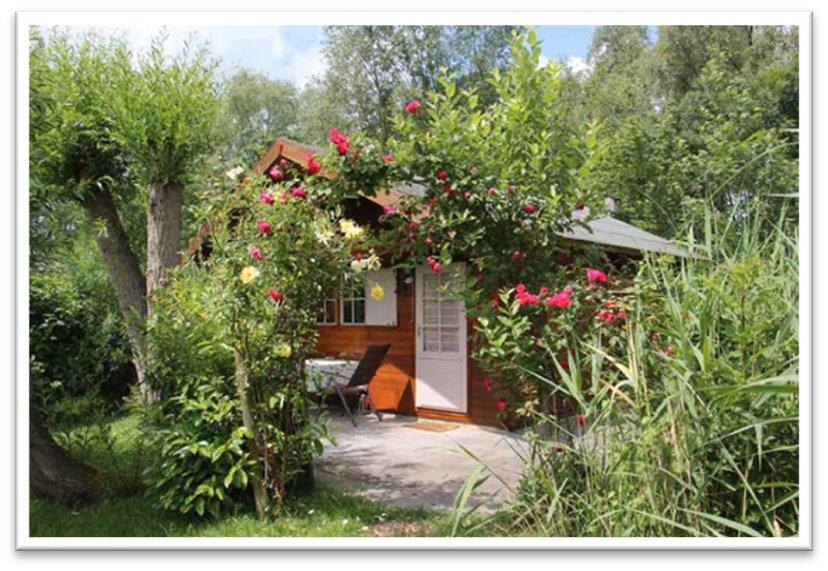 Einfamilienhaus Garz/Rügen Rügen - 3 Zimmer, 115 m&sup2;, 459.000&euro; | Angebot:26045253