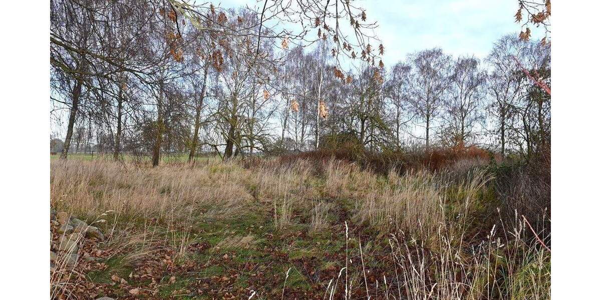 Einfamilienhaus Sundhagen Groß Behnkenhagen - 3 Zimmer, 74 m&sup2;, 145.000&euro; | Angebot:25728884