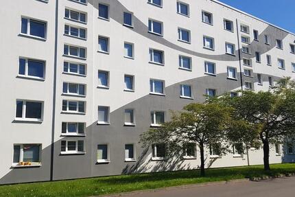 Wohnung Greifswald Groß Schönwalde - 1 Zimmer, 19 m&sup2;, 175&euro; | Angebot:22925975