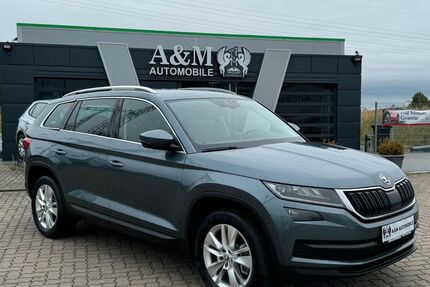Skoda Kodiaq 215.000 km 18.999 &euro; Greifswald 17489