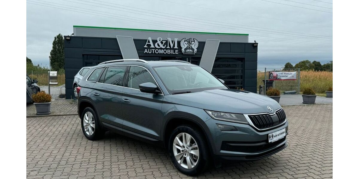 Skoda Kodiaq 215.000 km 18.999 &euro; Greifswald 17489