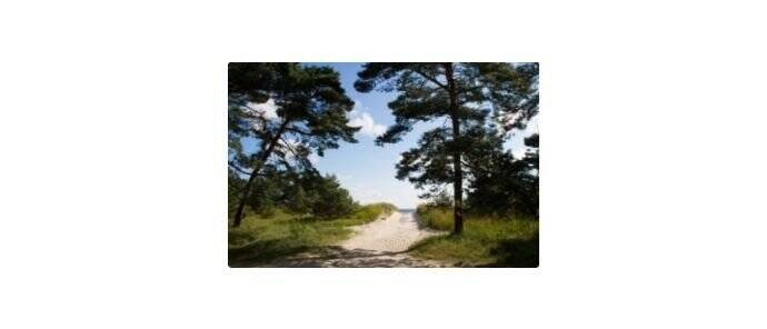 Ihr Baugrundstück auf der Sonneninsel Usedom - Grundstück Peenemünde | Angebot:26086140