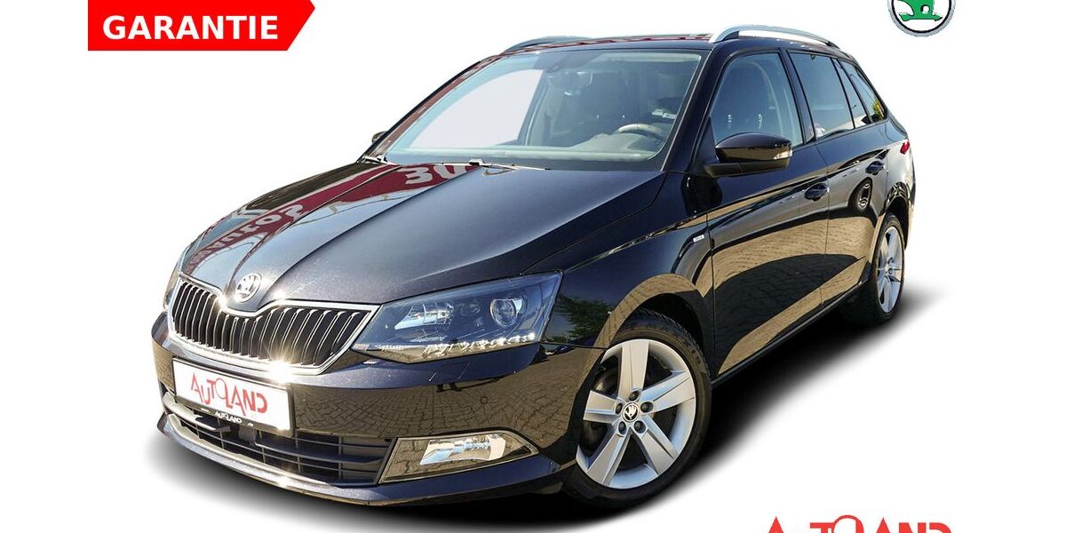 Skoda Fabia 73.478 km 11.490 &euro; Greifswald 17489