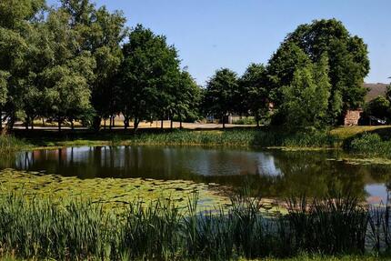 Wohnung Tutow - 3 Zimmer, 70 m&sup2;, 400&euro; | Angebot:25908241