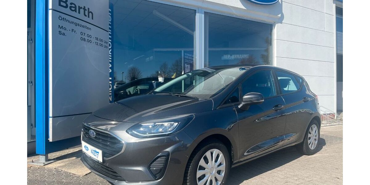 Ford Fiesta 29.020 km 13.890 &euro; Grimmen 18507