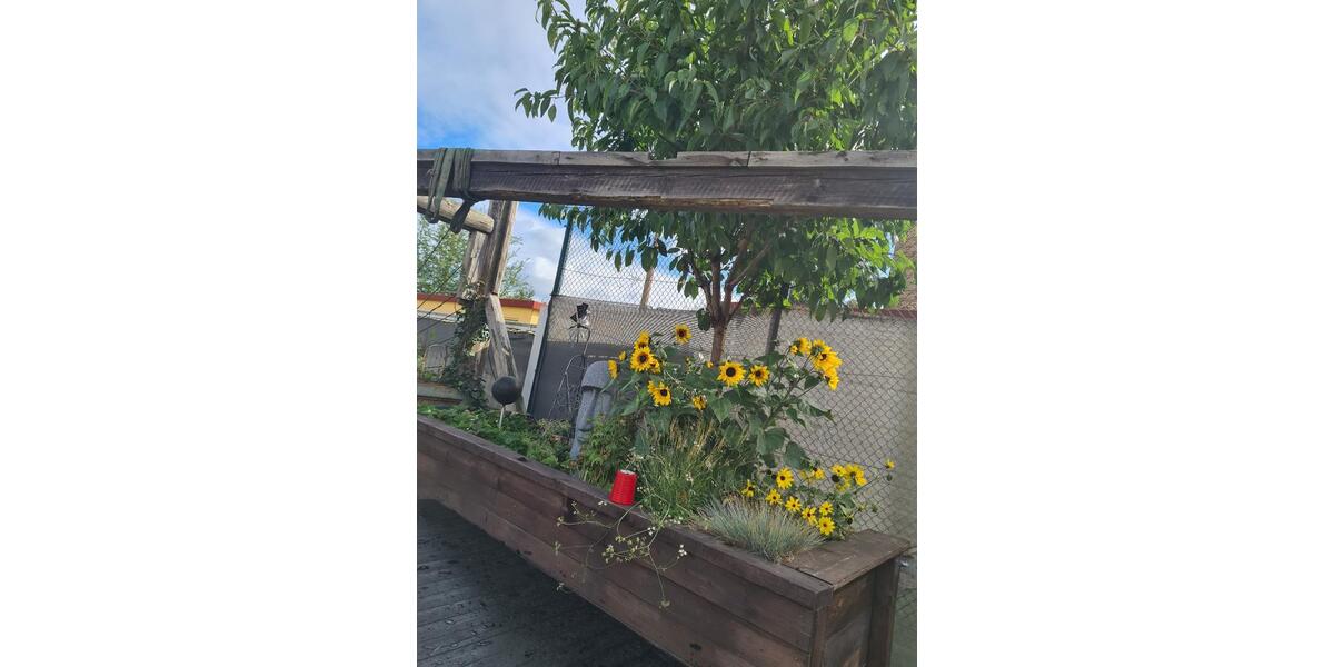Gewerbeobjekt Greifswald Eldena - 8&euro; | Angebot:26134133