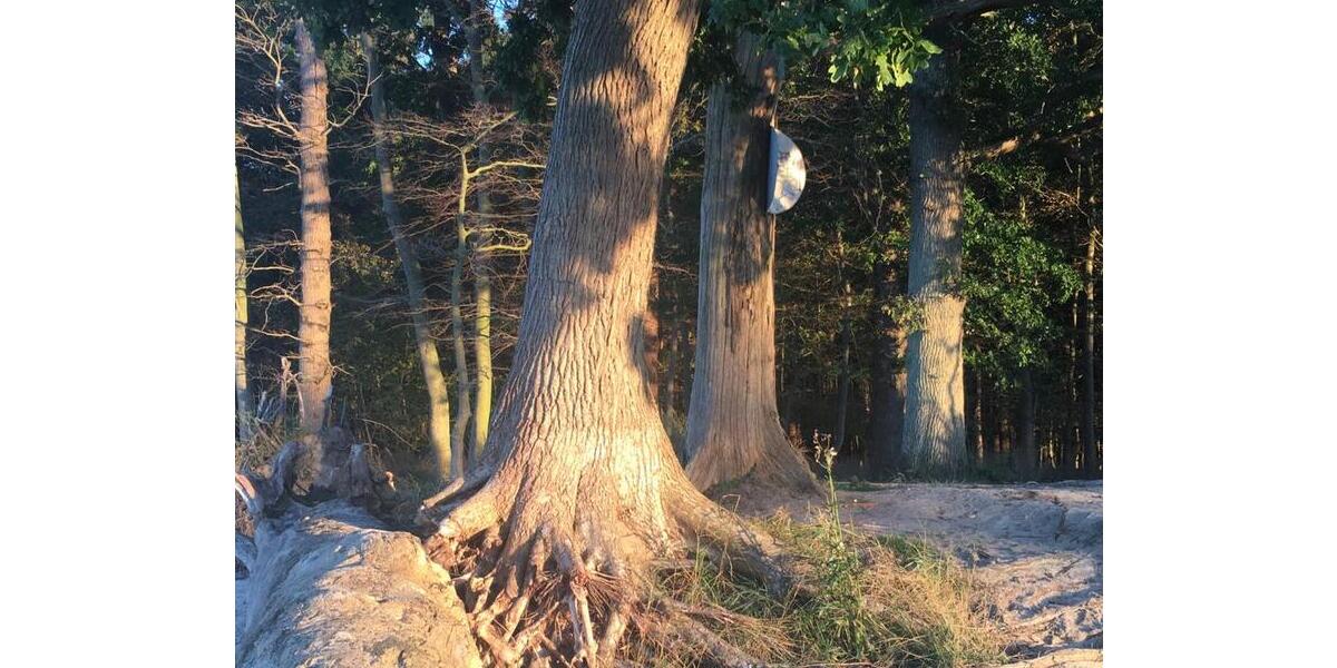 Bungalow Lubmin - 2 Zimmer, 50 m&sup2;, 230.000&euro; | Angebot:25906940