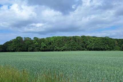 Grundstück Greifswald Groß Schönwalde - 230.000&euro; | Angebot:27165506