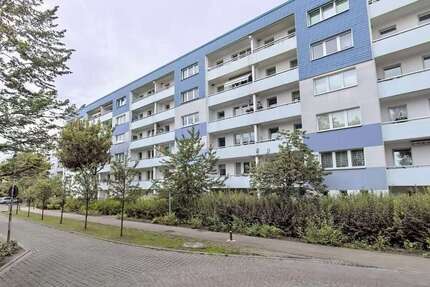 Wohnung Greifswald Groß Schönwalde - 4 Zimmer, 78 m&sup2;, 795&euro; | Angebot:27300733