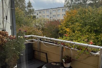 Wohnung Greifswald - 1 Zimmer, 34 m&sup2;, 399&euro; | Angebot:27717322