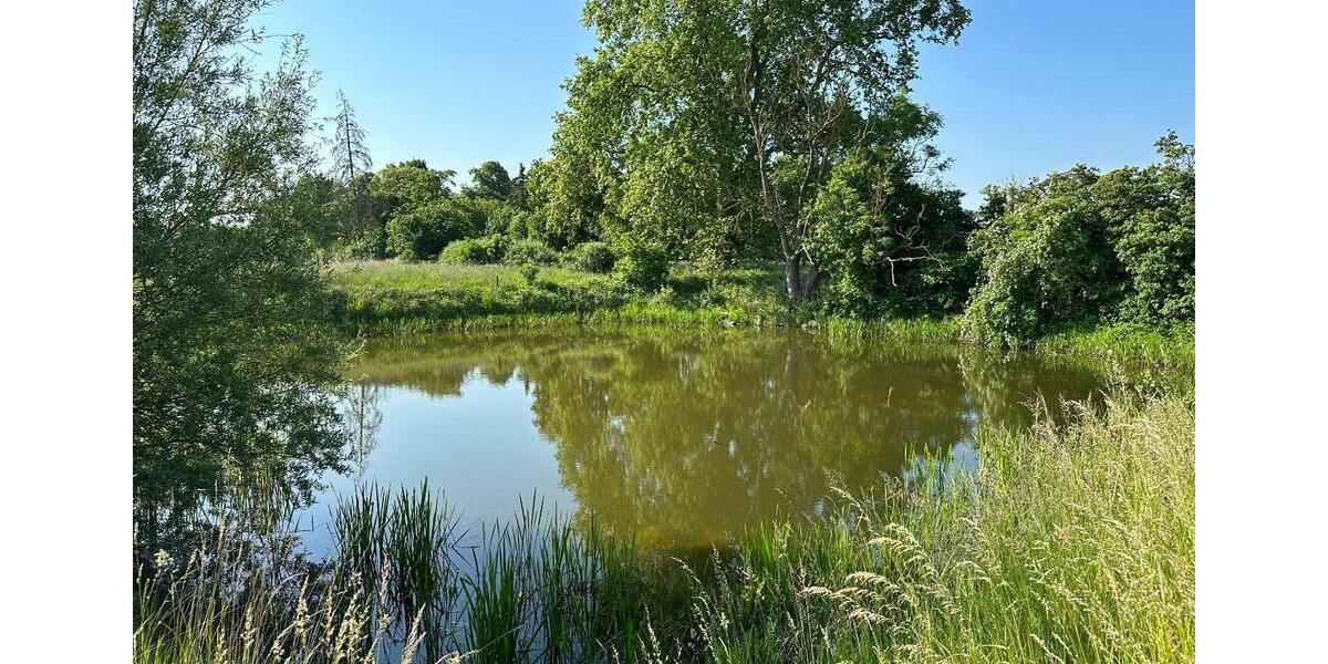 Einfamilienhaus Neetzow-Liepen Liepen - 4 Zimmer, 90 m&sup2;, 95.000&euro; | Angebot:26227120