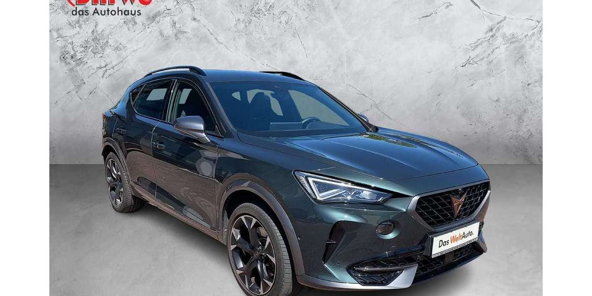 Cupra Formentor 48.824 km 25.810 &euro; Greifswald 17489