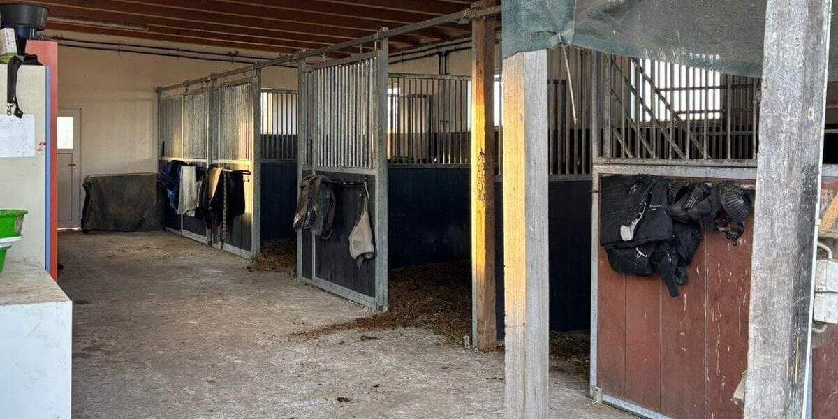 Einfamilienhaus Weitenhagen Helmshagen II - 6 Zimmer, 215 m&sup2;, 649.000&euro; | Angebot:25747576