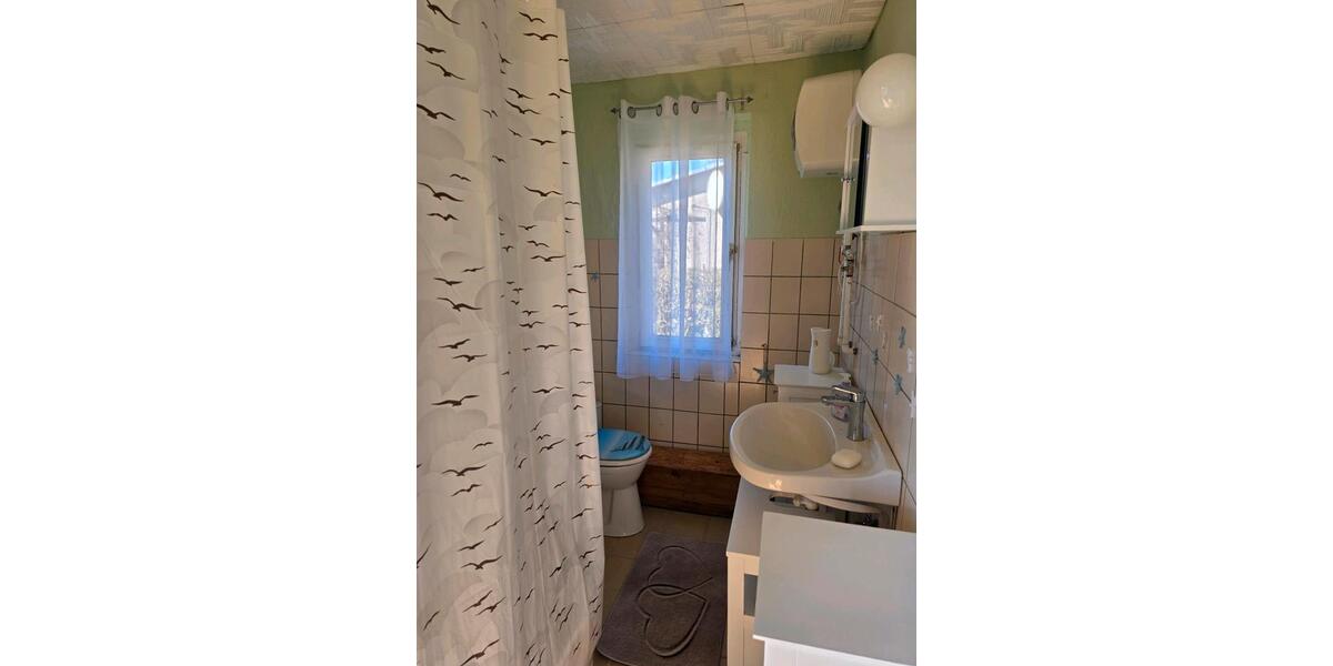 Bungalow Greifswald Groß Schönwalde - 2 Zimmer, 40 m&sup2;, 22.900&euro; | Angebot:25840895