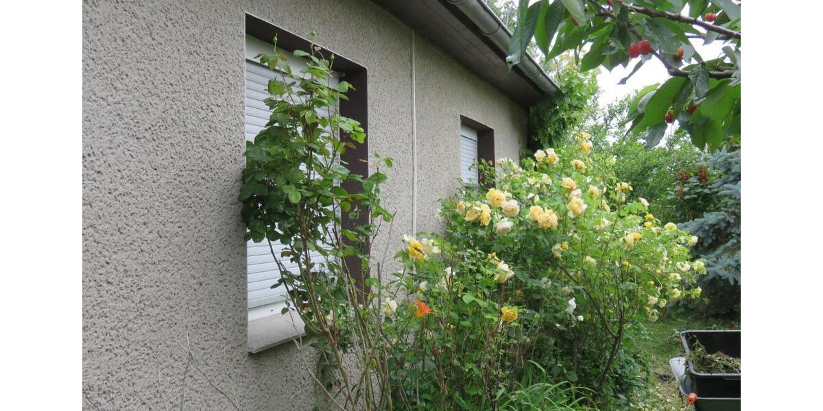 Einfamilienhaus Karlsburg - 6 Zimmer, 100 m&sup2;, 160.000&euro; | Angebot:25364312