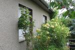 Einfamilienhaus Karlsburg - 6 Zimmer, 100 m&sup2;, 160.000&euro; | Angebot:25364312