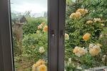 Einfamilienhaus Karlsburg - 6 Zimmer, 90 m&sup2;, 150.000&euro; | Angebot:27243124