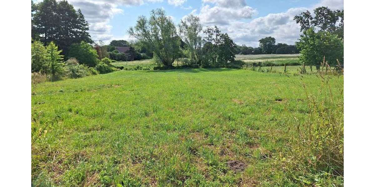 Grundstück Greifswald Groß Schönwalde - 265.000&euro; | Angebot:26809676